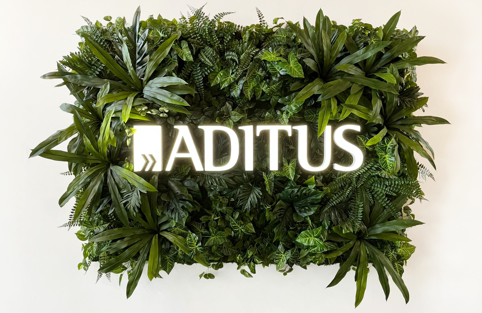 Aditus, beleuchtetes Logo auf begrüntem Hintergrund